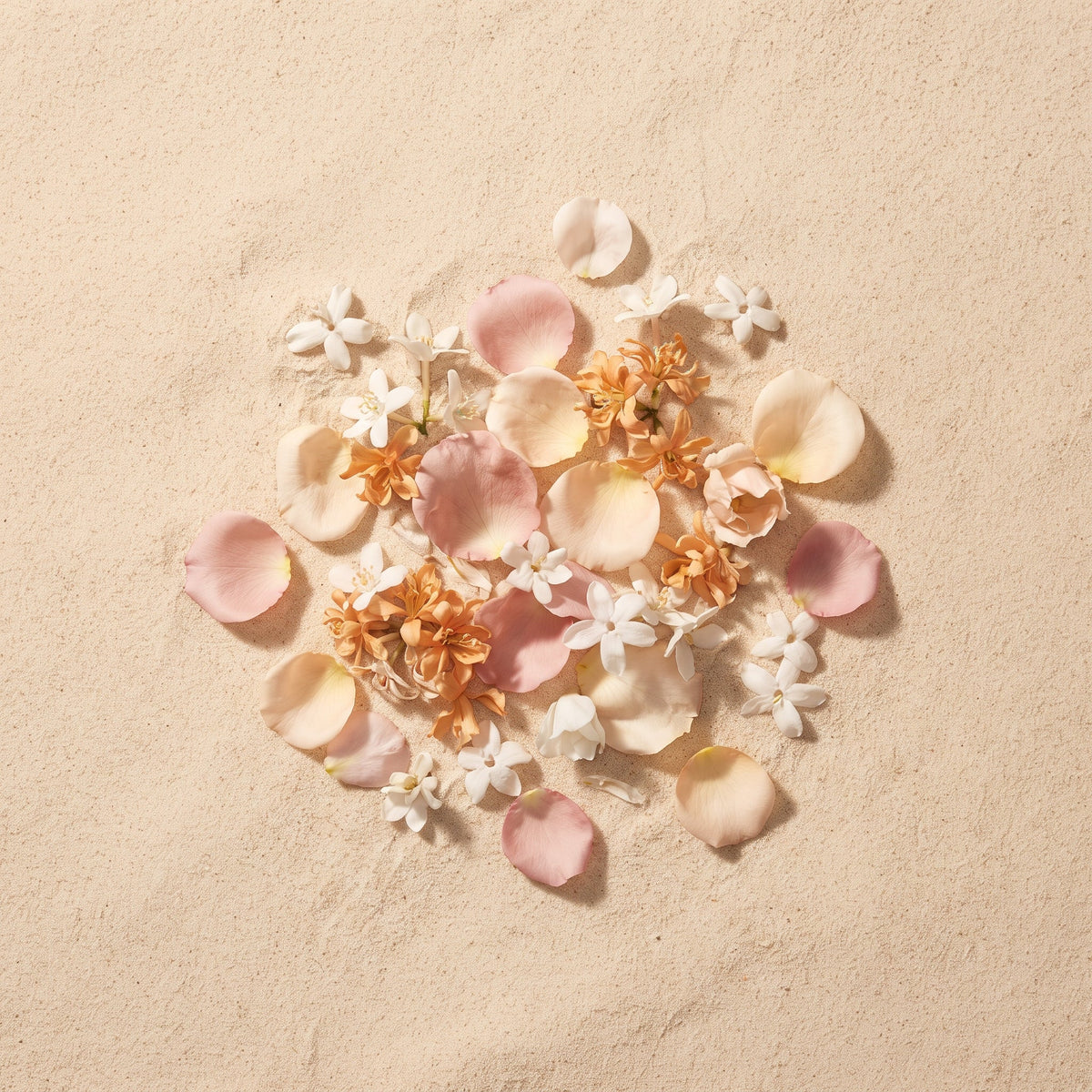 Rose petals, jasmine and white blossom on sand