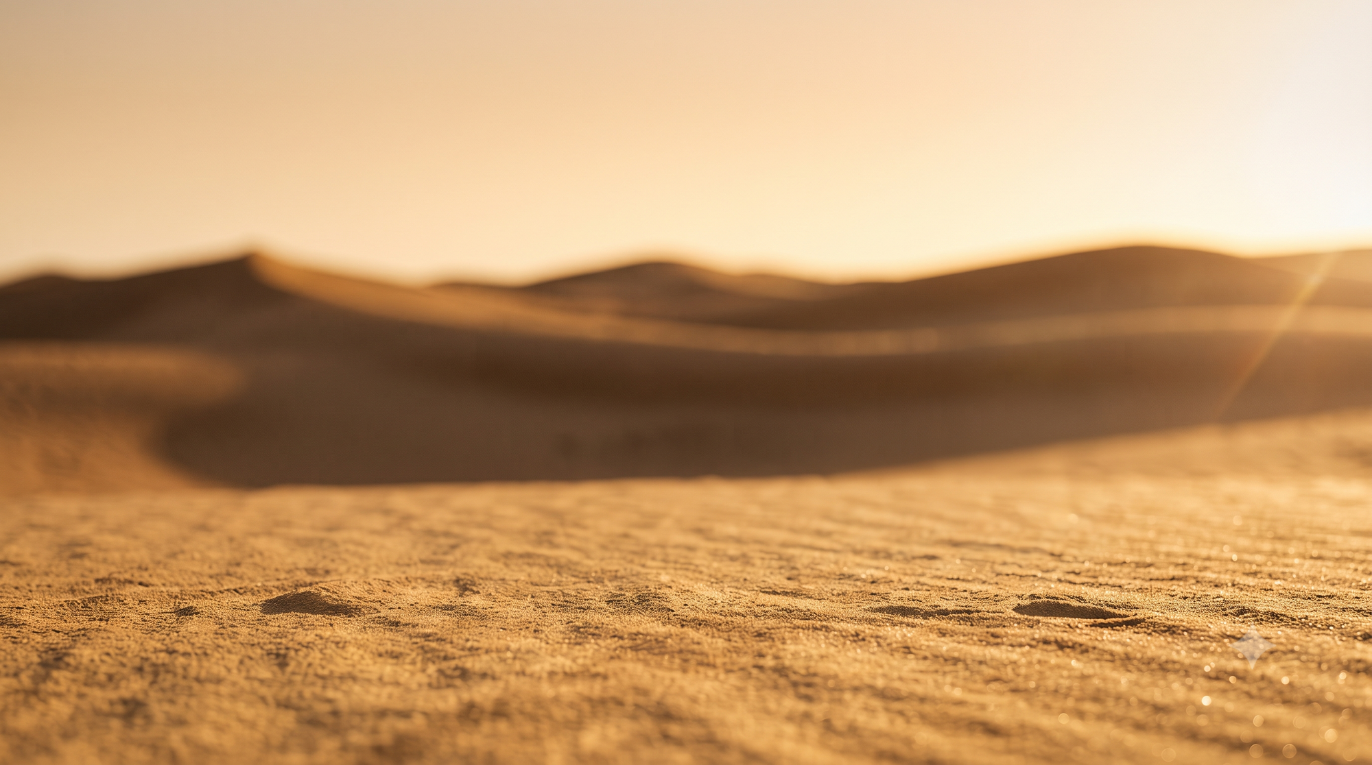 Golden Hour - End of Summer Sale