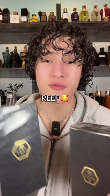 REEF 33 is my personal fav ❤️ #perfume #fragrancetiktok #perfumetiktok #lemaleleparfum #reefperfumes